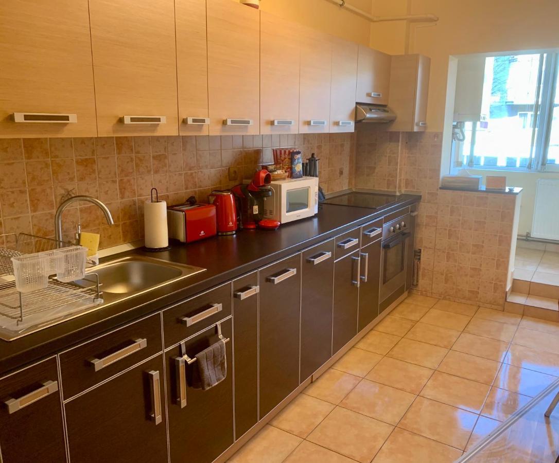 Jad - Family - Apartments - Zorilor براشوف المظهر الخارجي الصورة