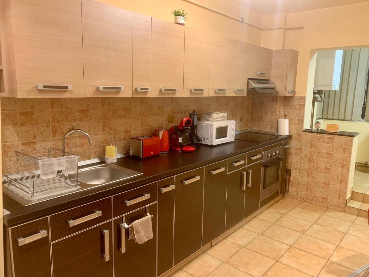 Jad - Family - Apartments - Zorilor براشوف المظهر الخارجي الصورة