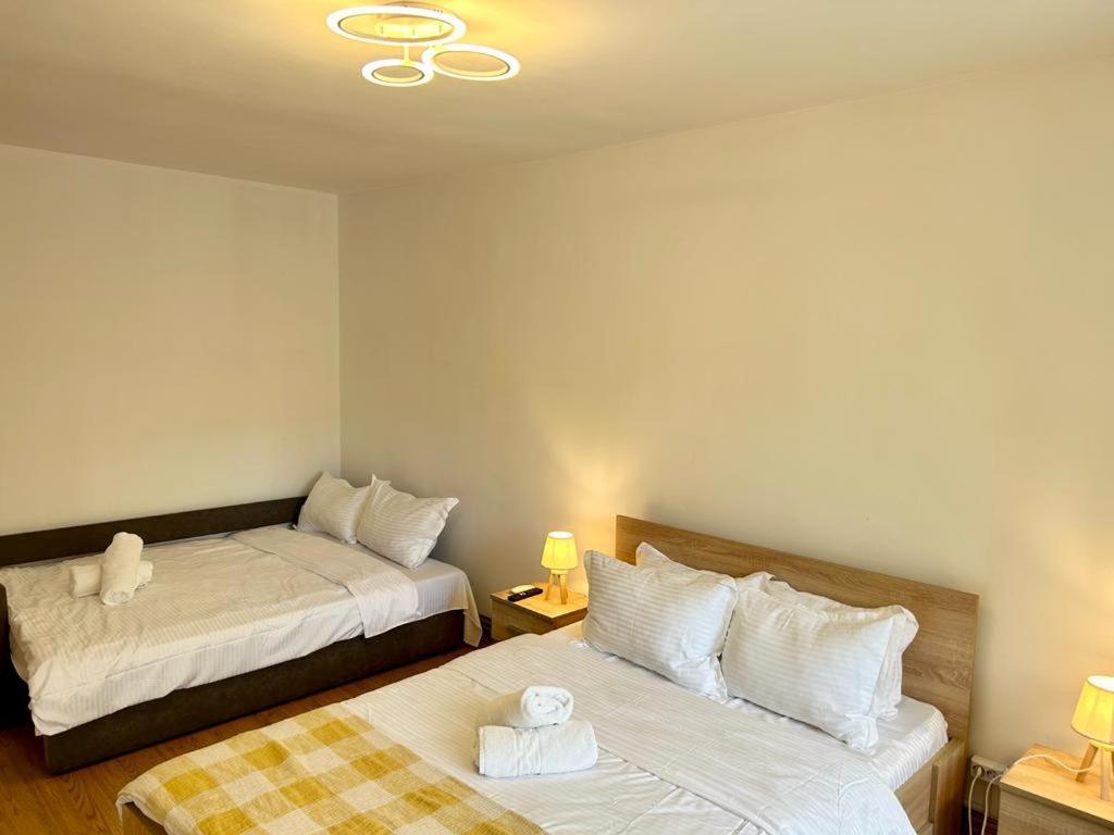 Jad - Family - Apartments - Zorilor براشوف المظهر الخارجي الصورة