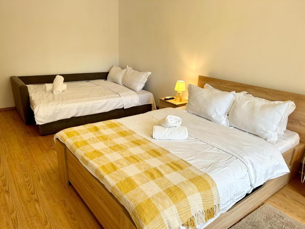 Jad - Family - Apartments - Zorilor براشوف المظهر الخارجي الصورة