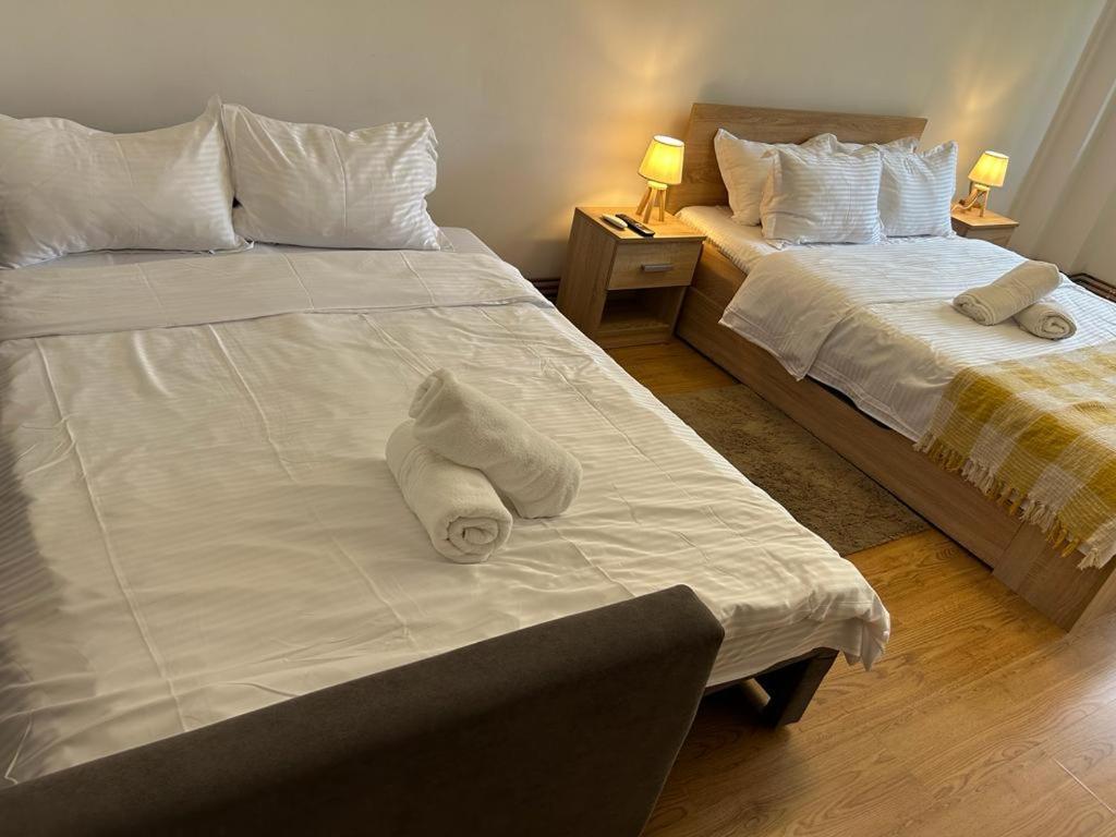 Jad - Family - Apartments - Zorilor براشوف المظهر الخارجي الصورة