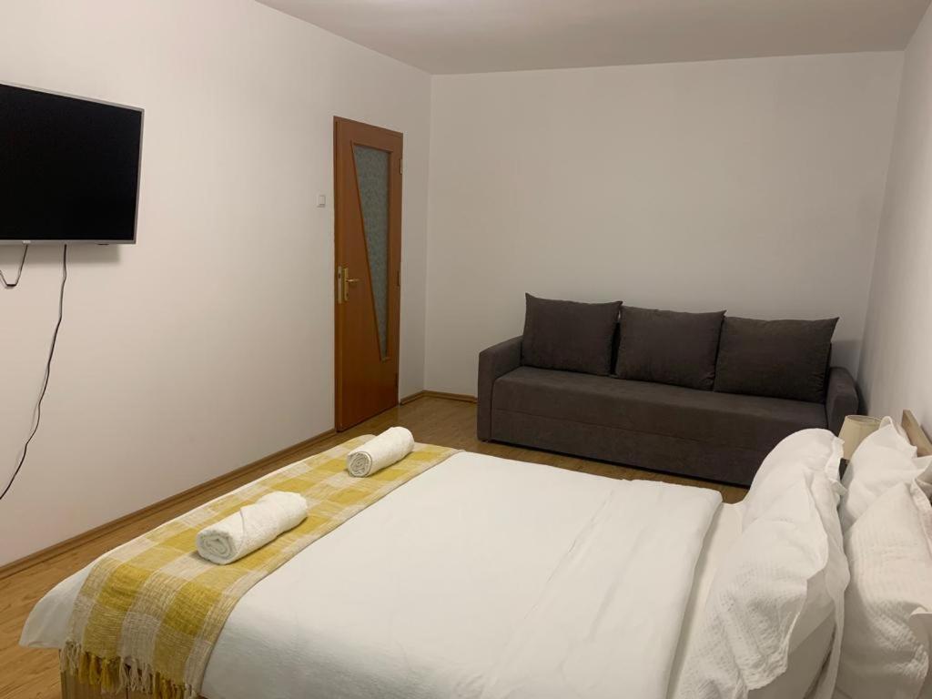 Jad - Family - Apartments - Zorilor براشوف المظهر الخارجي الصورة