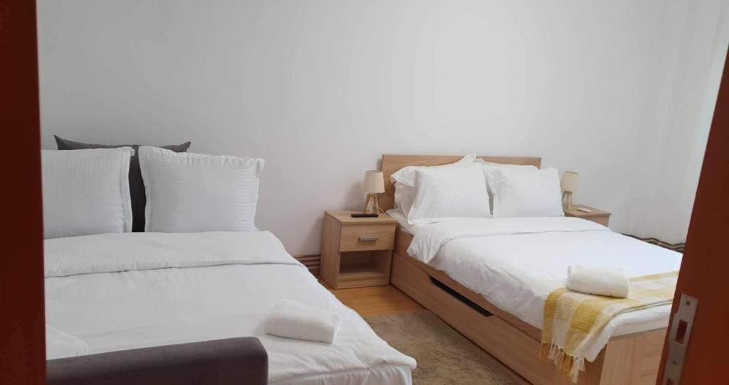 Jad - Family - Apartments - Zorilor براشوف المظهر الخارجي الصورة